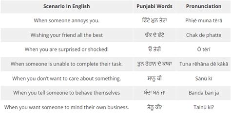 meaning of fuck in punjabi|List Of Punjabi Slangs That Only Punjabis Understand And.